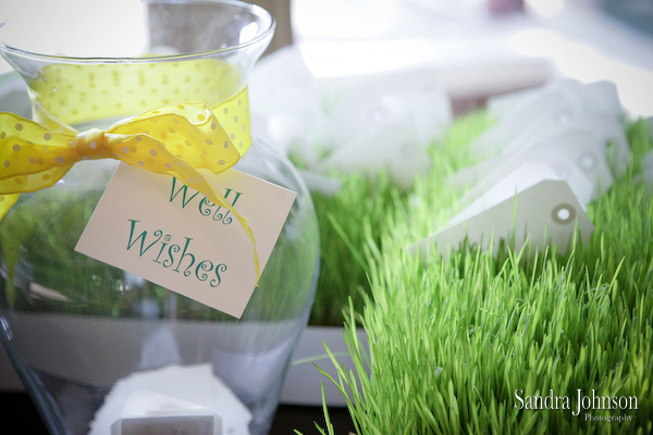 Best Villas of Grand Cypress Wedding photographer - Sandra Johnson (SJFoto.com)